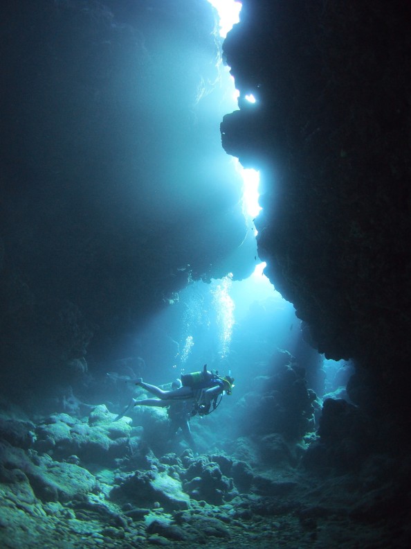 0105b4b7f5de2545a2bf845a03618f9dbe408d99b6