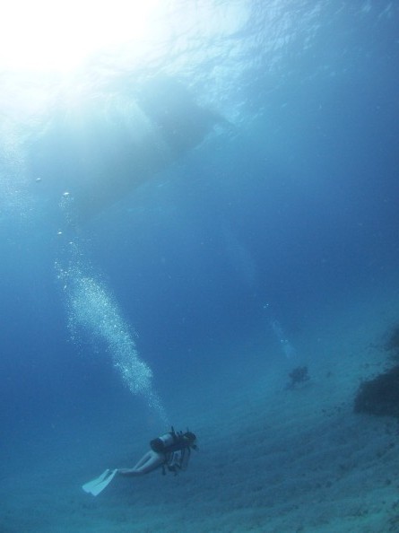 0116f4c518e70f6cfeeb050deba07e0e0591349c93