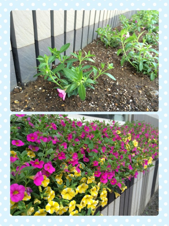 011ce5d4425c5a65654cc079ffe1b0b1338389fe98