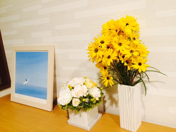 016955834b44f207076af0745b359c8c6466fca377