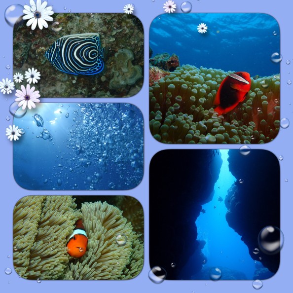 01d6e910c6b57e44c1eba06129412b31e3b8c88da3